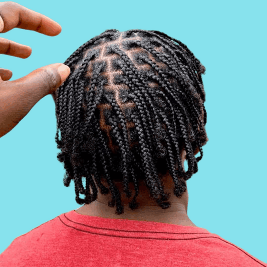 Small Natural Hair Box Braids or Twists