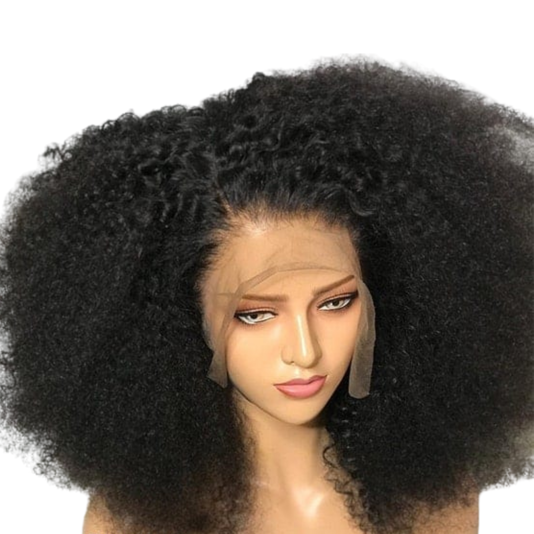 AFRO KINKY WIG (2)