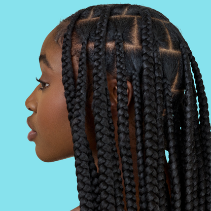 Large Regular and Knotless Box Braids or Twists