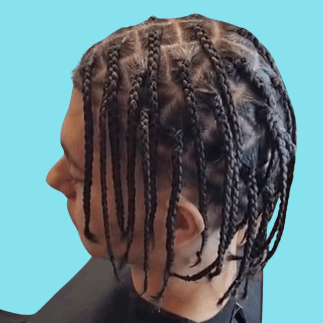 Medium Natural Hair Box Braids or Twists