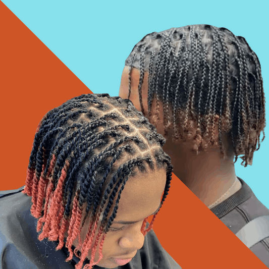 Natural Hair Box Braids or Twists in Mississauga 