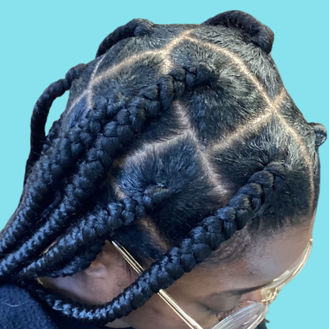 Large Regular and Knotless Box Braids or Twists